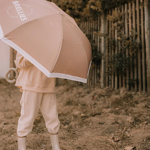 Зонт Mrs. Ertha "Strawberries Mood", райские ягоды